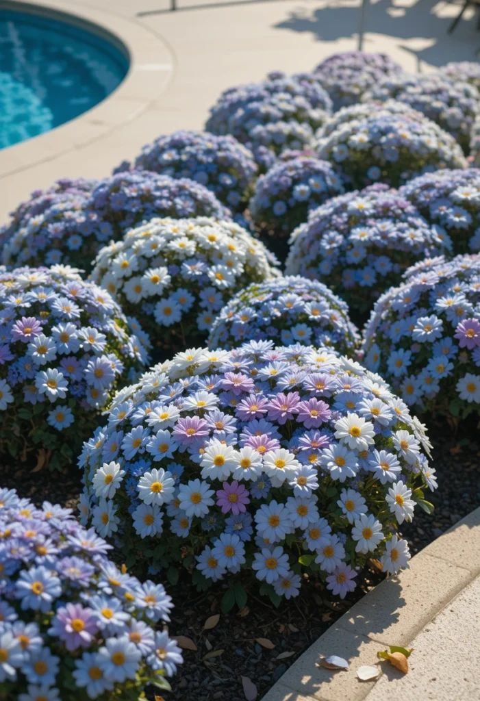 Color-Coordinated Plant Palette