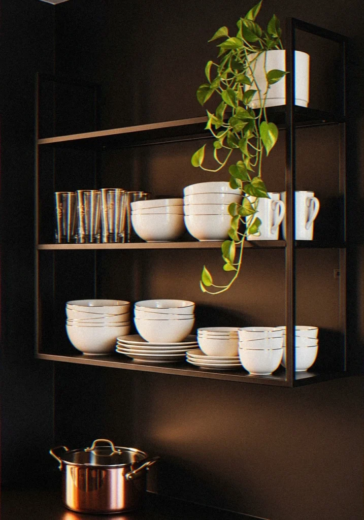 Floating Black Shelves