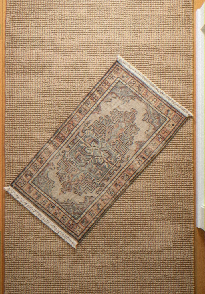 Layered Rug