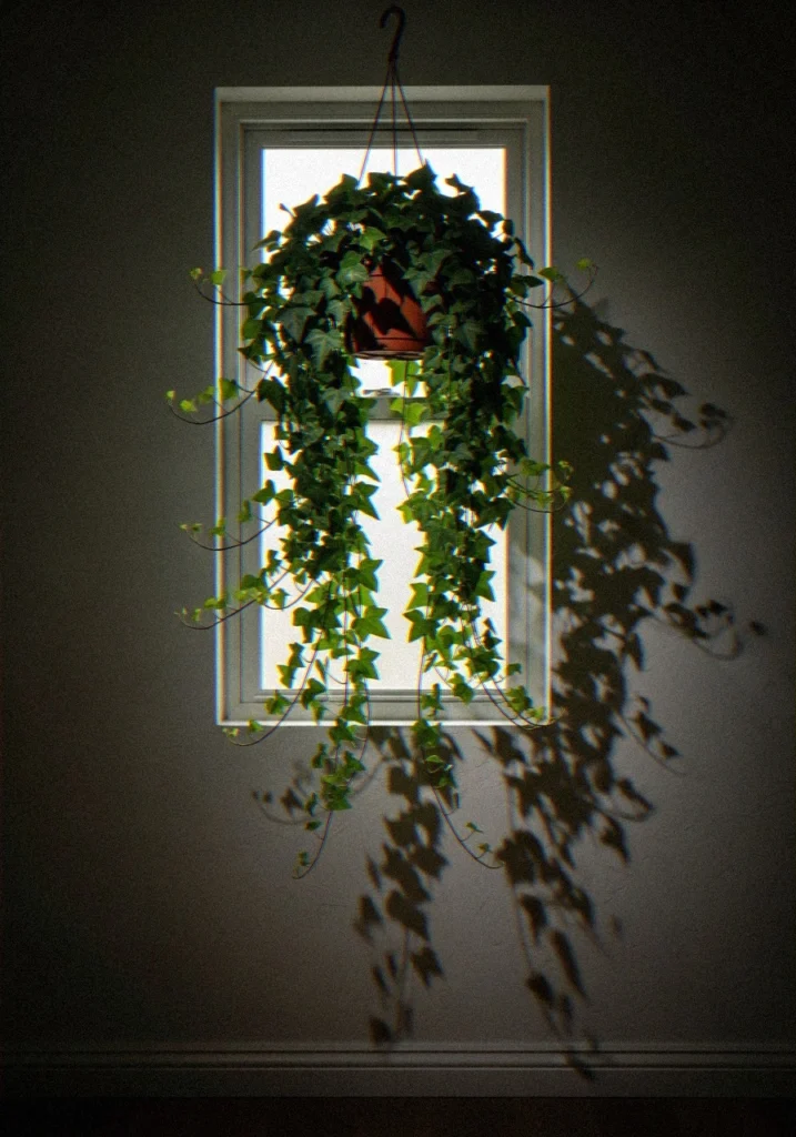 Moldf plant home